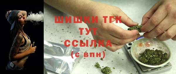 твердый Дмитров
