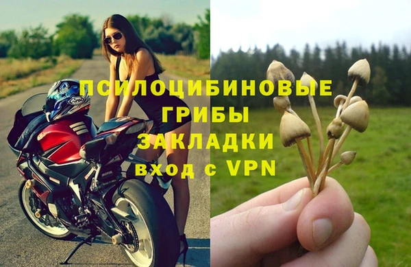 винт Дмитриев