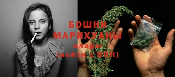 винт Дмитриев