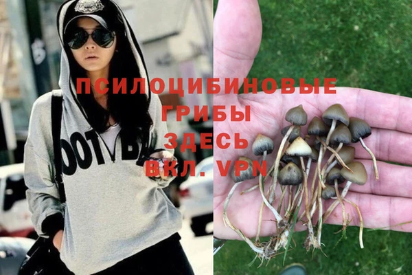 ПСИЛОЦИБИНОВЫЕ ГРИБЫ Дмитровск