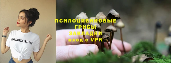 винт Дмитриев