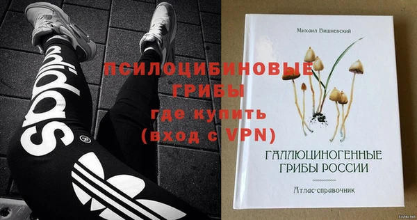 твердый Дмитров