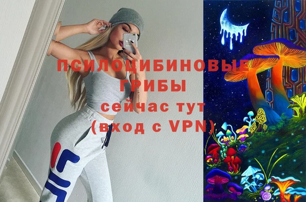ПСИЛОЦИБИНОВЫЕ ГРИБЫ Дмитровск