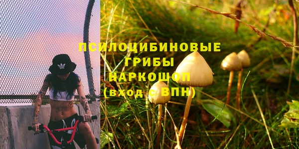 твердый Дмитров