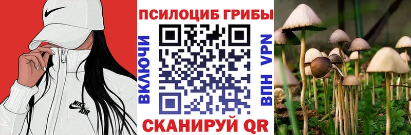 Псилоцибиновые грибы Magic Shrooms  где найти   Ермолино 